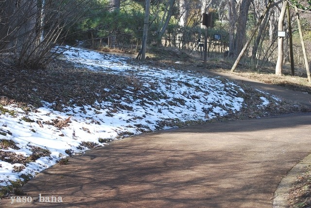 e0025300_18291638.jpg