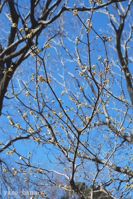 e0025300_1836051.jpg