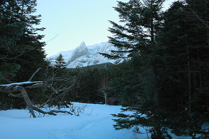 a0148606_14414816.jpg