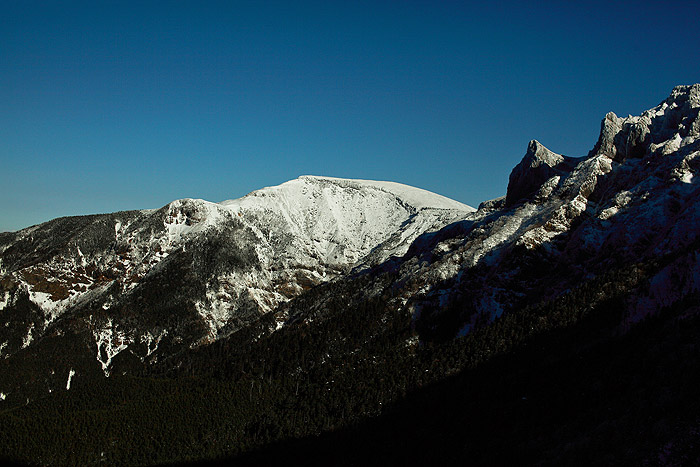 a0148606_14452784.jpg