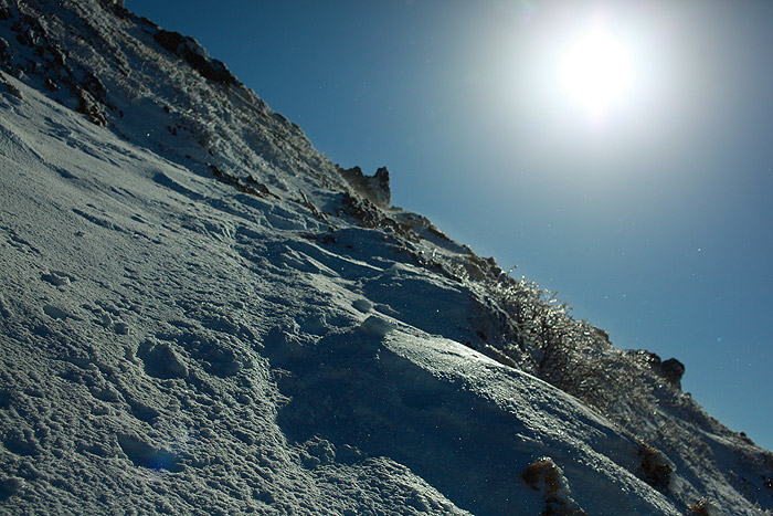 a0148606_1449760.jpg
