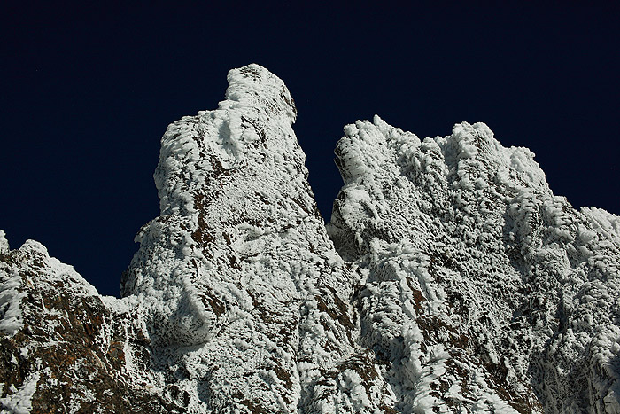 a0148606_1450151.jpg
