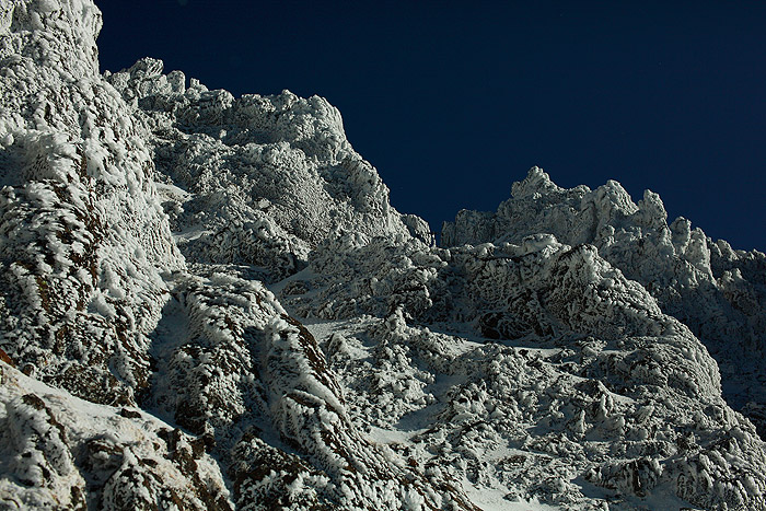 a0148606_1450660.jpg