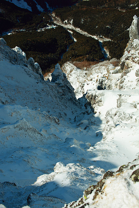 a0148606_15161043.jpg