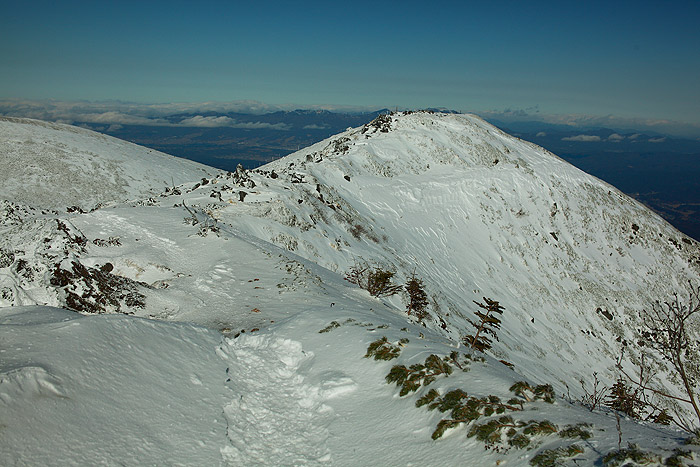 a0148606_15163393.jpg