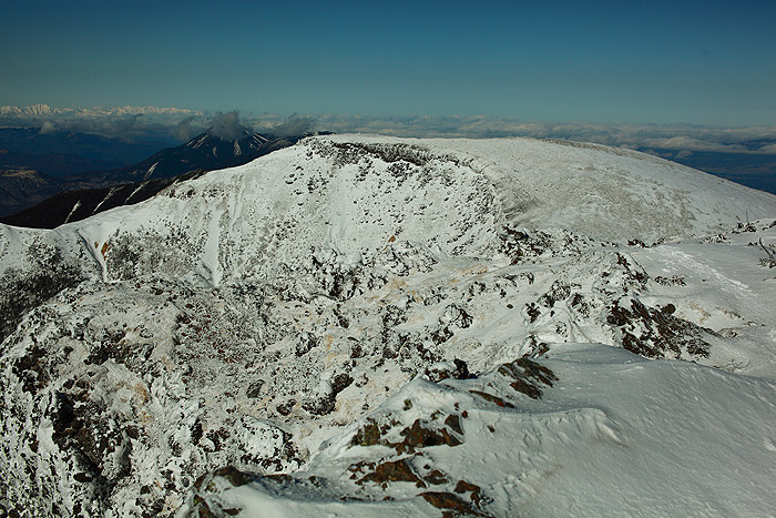 a0148606_151703.jpg