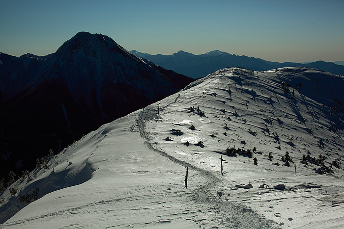 a0148606_15222954.jpg