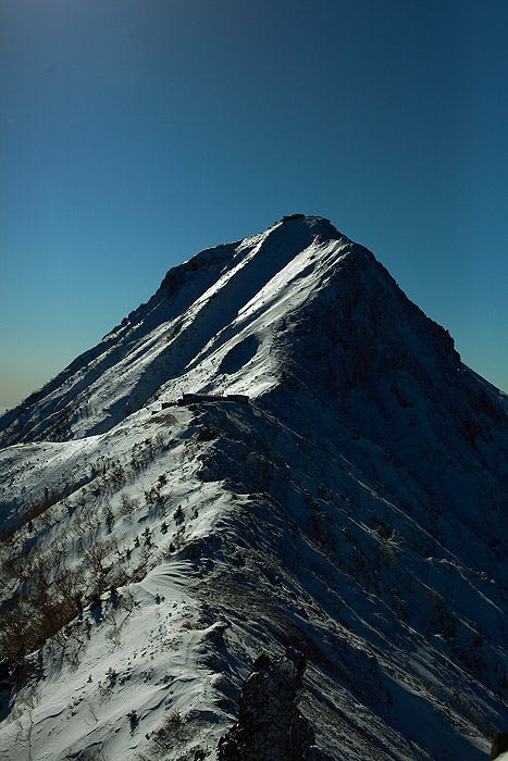 a0148606_1524997.jpg