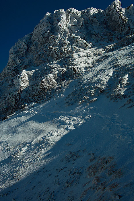 a0148606_1571562.jpg
