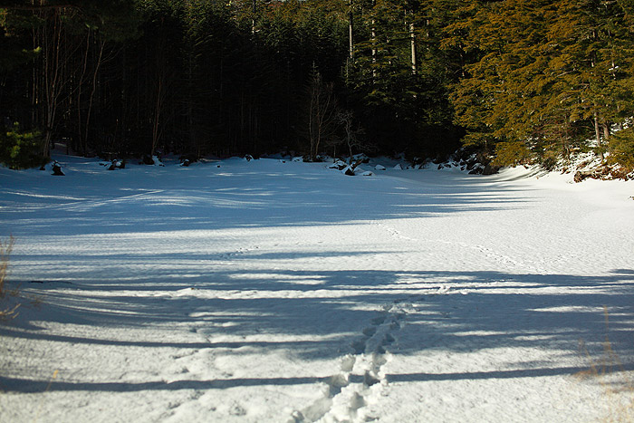 a0148606_23253759.jpg