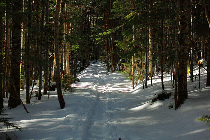 a0148606_23262353.jpg