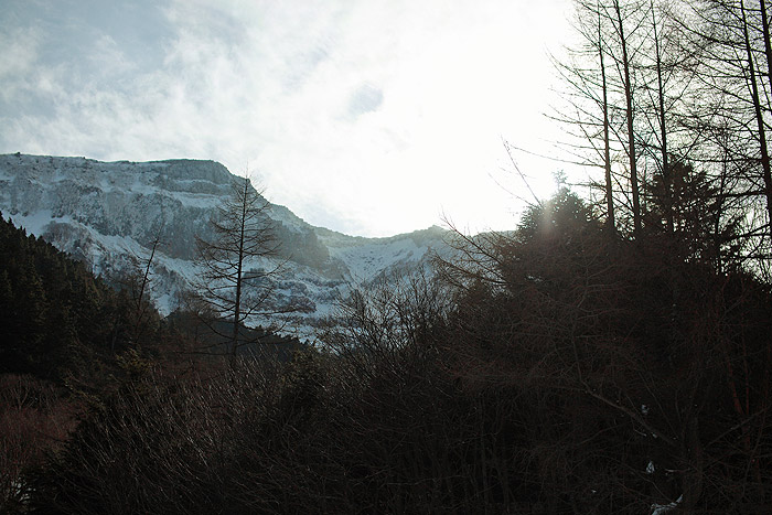 a0148606_23282781.jpg