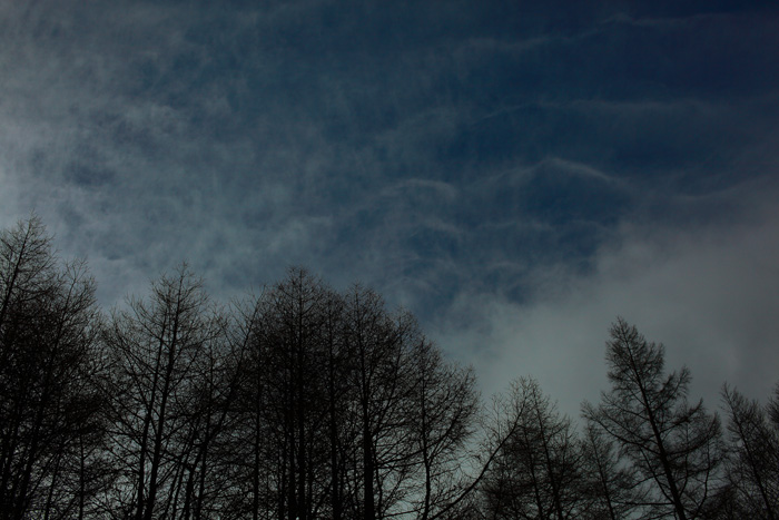 a0148606_23285795.jpg