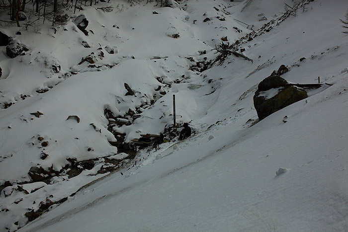 a0148606_23292615.jpg