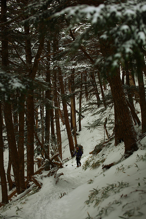 a0148606_23503962.jpg