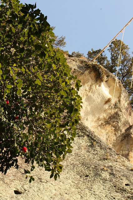 d0154609_19155491.jpg
