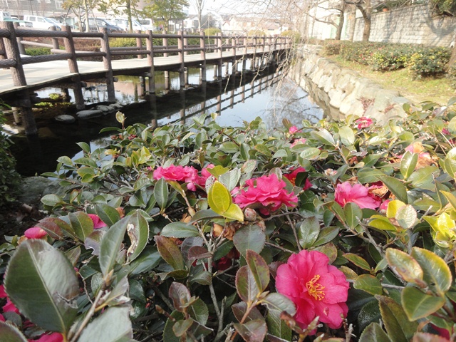 f0231709_2038233.jpg
