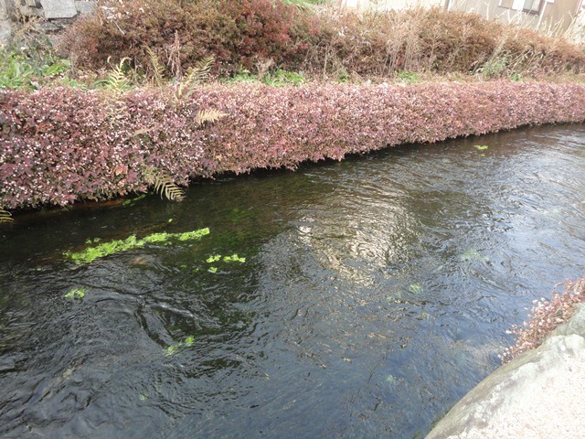 f0231709_20465137.jpg