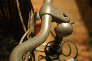 f0000211_2239479.jpg