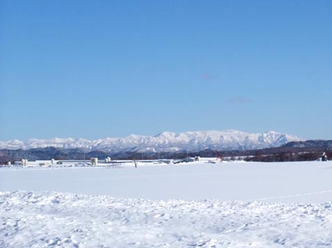d0072917_19473569.jpg