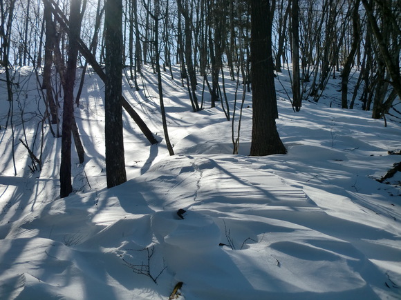 c0210618_9363360.jpg