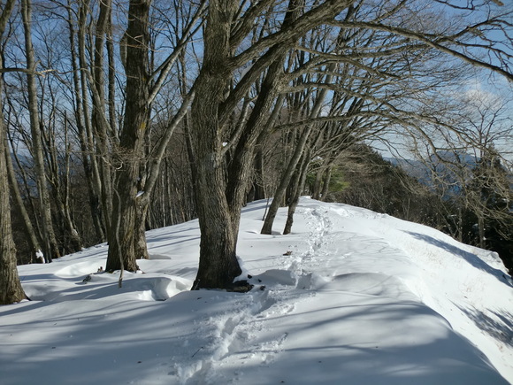 c0210618_937423.jpg