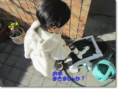 b0167519_2136247.gif