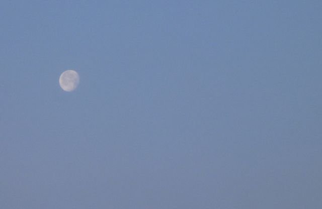 b0283019_158551.jpg