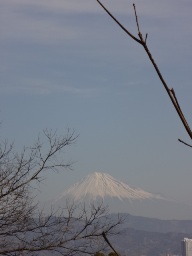 a0232921_16273137.jpg