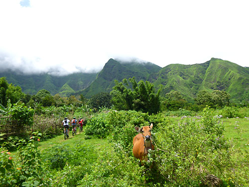 d0023725_162048.jpg