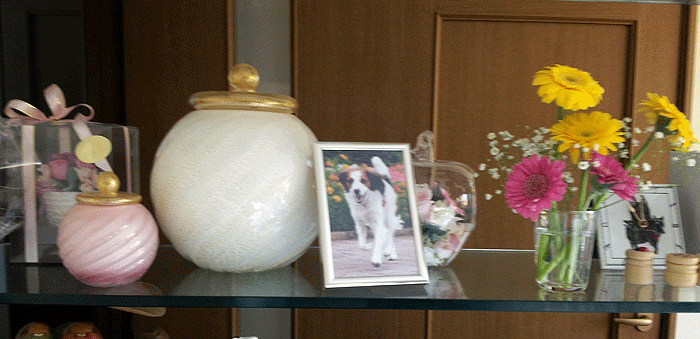 b0066826_18393699.gif