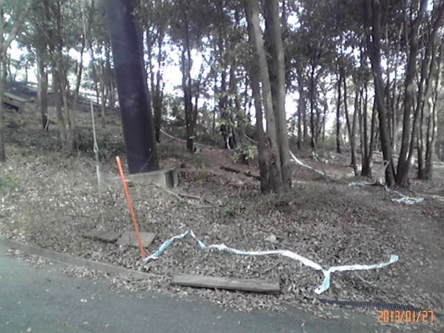 b0222530_1742687.jpg