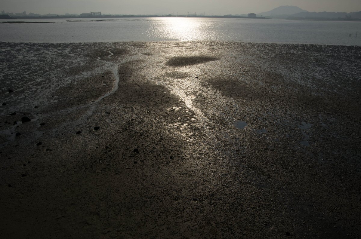 d0032931_21224781.jpg