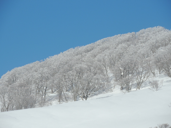 f0118332_22295740.jpg
