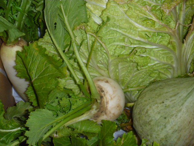 b0246036_9525069.jpg