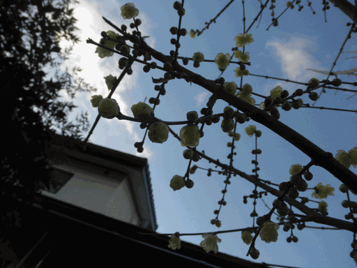c0136736_939865.gif
