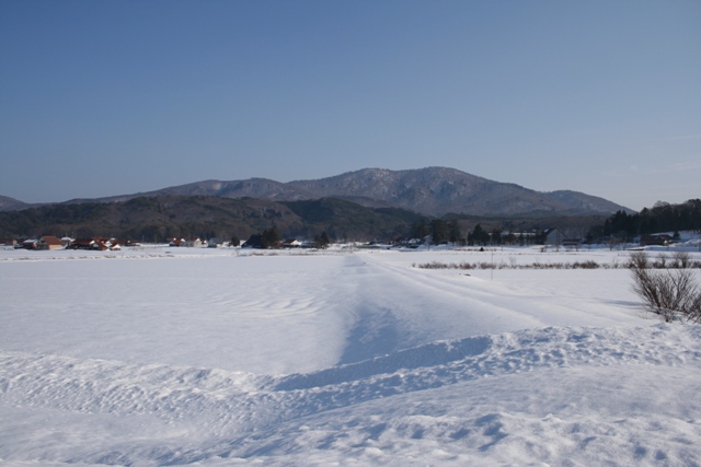 d0049138_1633101.jpg