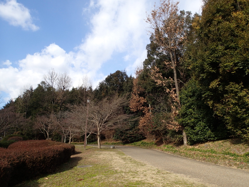 b0190242_22152239.jpg