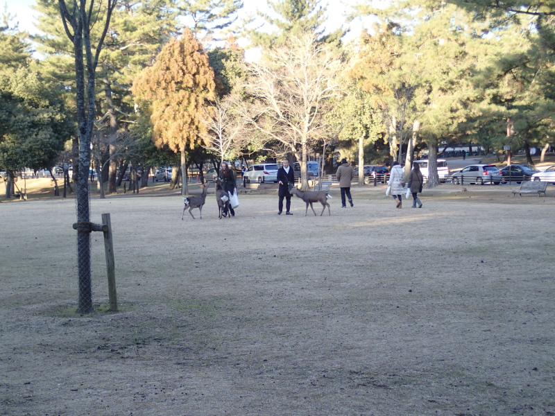 b0190242_22205645.jpg