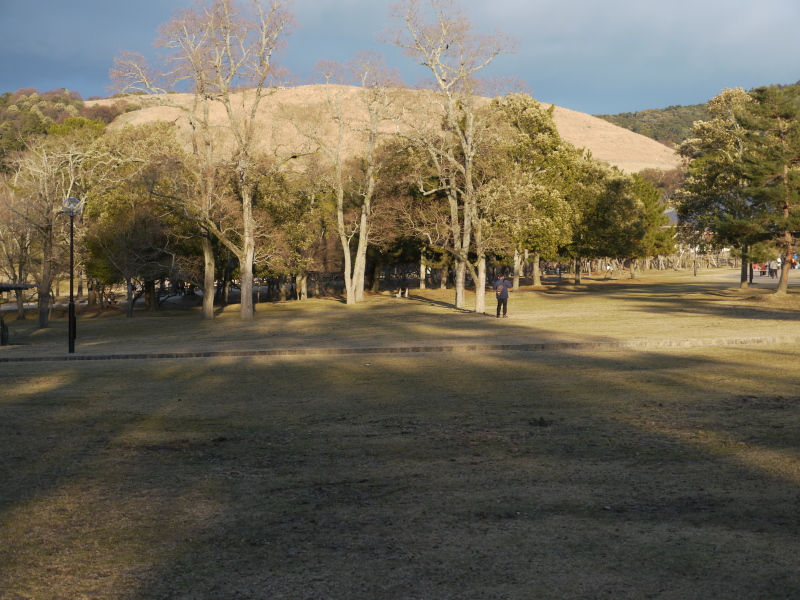 b0190242_2221358.jpg
