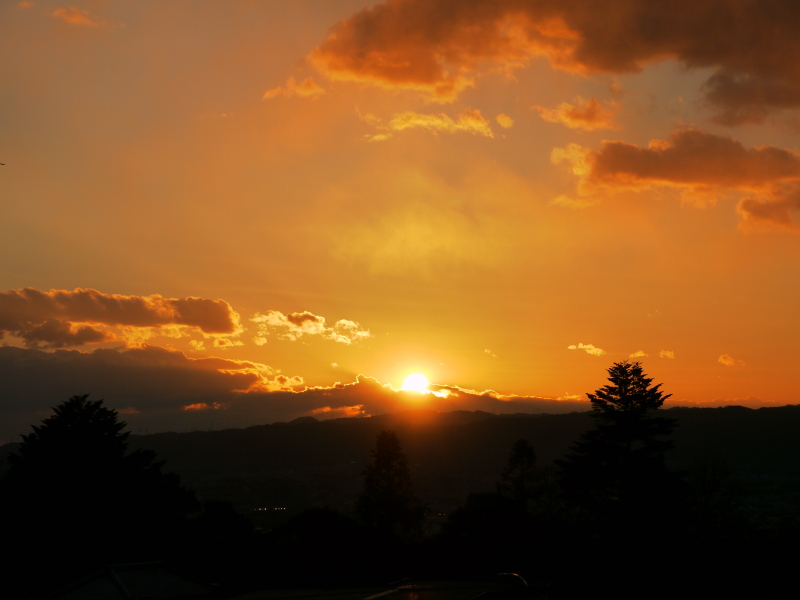 b0190242_2225512.jpg