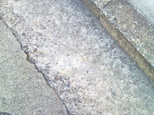 e0150843_18424942.jpg