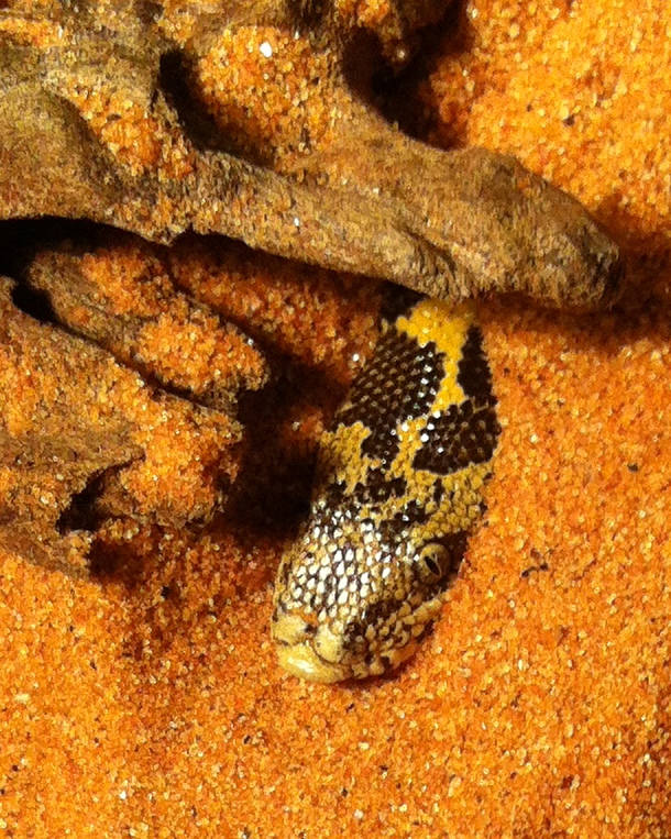 e0252746_16269.jpg