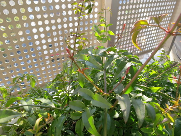c0043751_2185941.jpg
