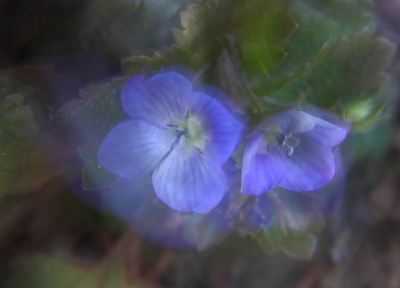 f0232758_18525795.jpg