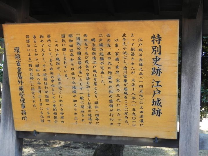 d0048366_1724214.jpg