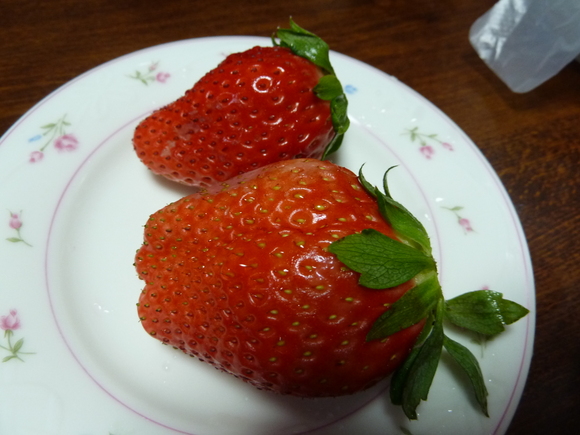 e0278968_2345179.jpg