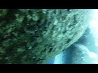 c0039073_2015173.png