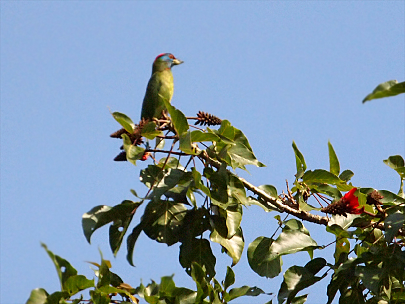 d0283373_539745.jpg