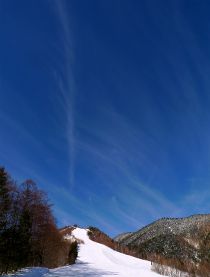 f0182173_14182522.jpg